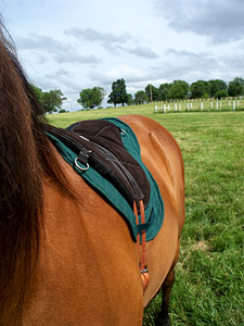 closer look at Little Joe Horse Gear saddle